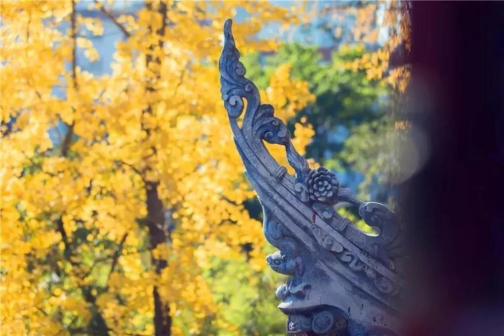 ѧ�������ˣ�Ϊʲô���Ǿ��úܿࣿ