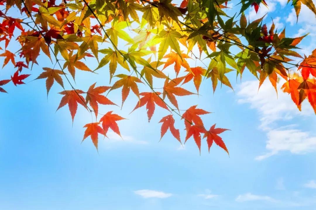 Ҫ���뿪η�����������Ӧ������ȥ��