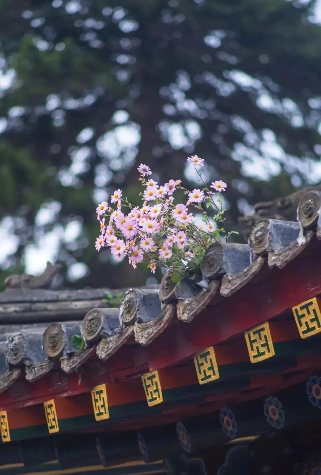 �����������Բ����⼲������֮��