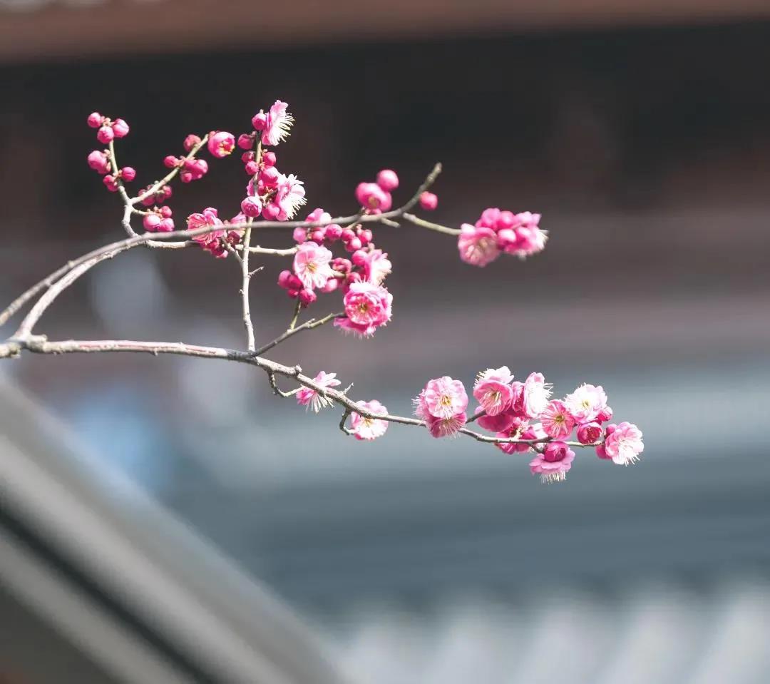 ��û��ͻ���ϰ�������ܼ��������ӷ�_��