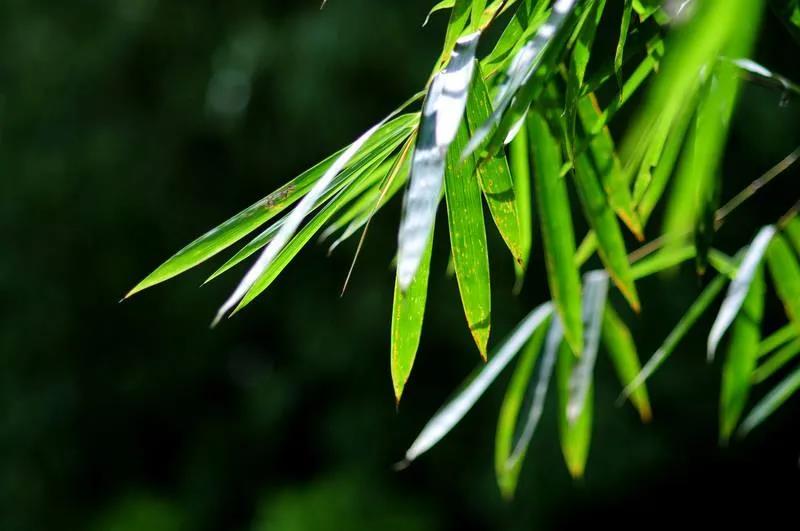 “空”是什么空,《金刚经》“空”的境界 “空”是什么空,《金刚经》“空”的境界