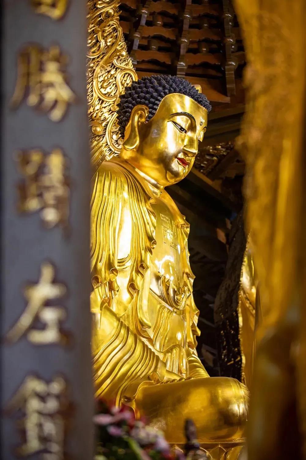 你所构想的烦恼只是虚惊一场 你所构想的烦恼只是虚惊一场