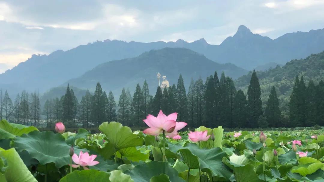 �޳յ�ɹ��������γɳ�Ϊһ����ɮ�ģ�