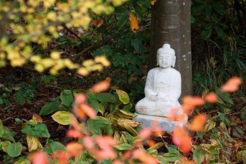 轮回不是指一个地方,而是心的状态 轮回不是指一个地方,而是心的状态