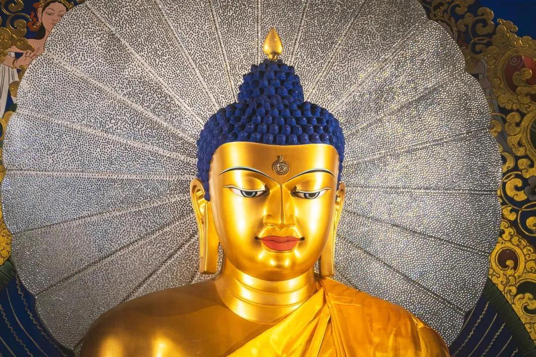 Ϊ�������Է���˵���������ţ�