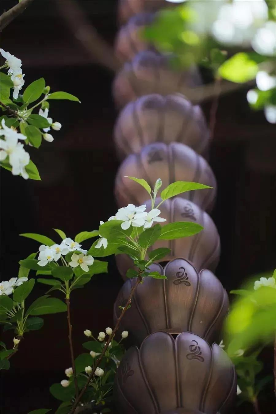 �޳ִȱ�������İ컵�¶���ί����