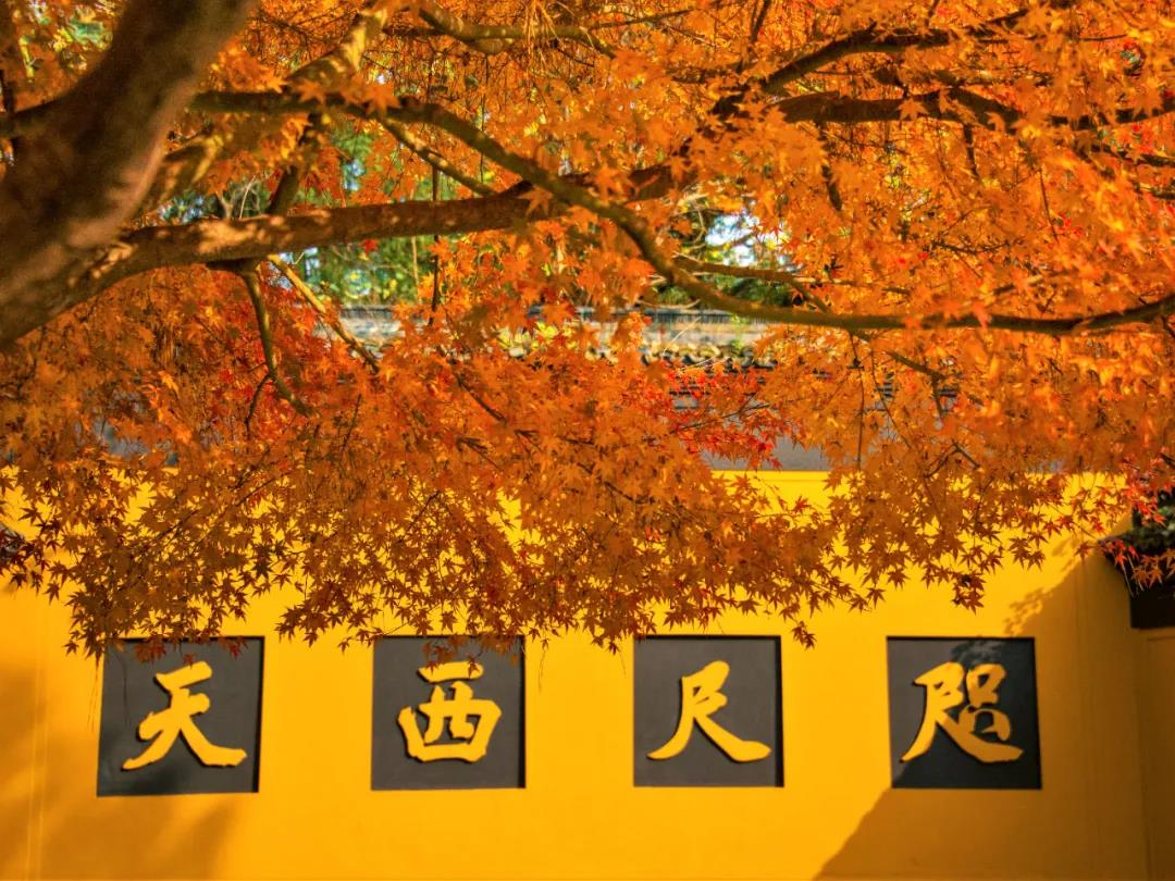 �޳ִȱ�������İ컵�¶���ί����