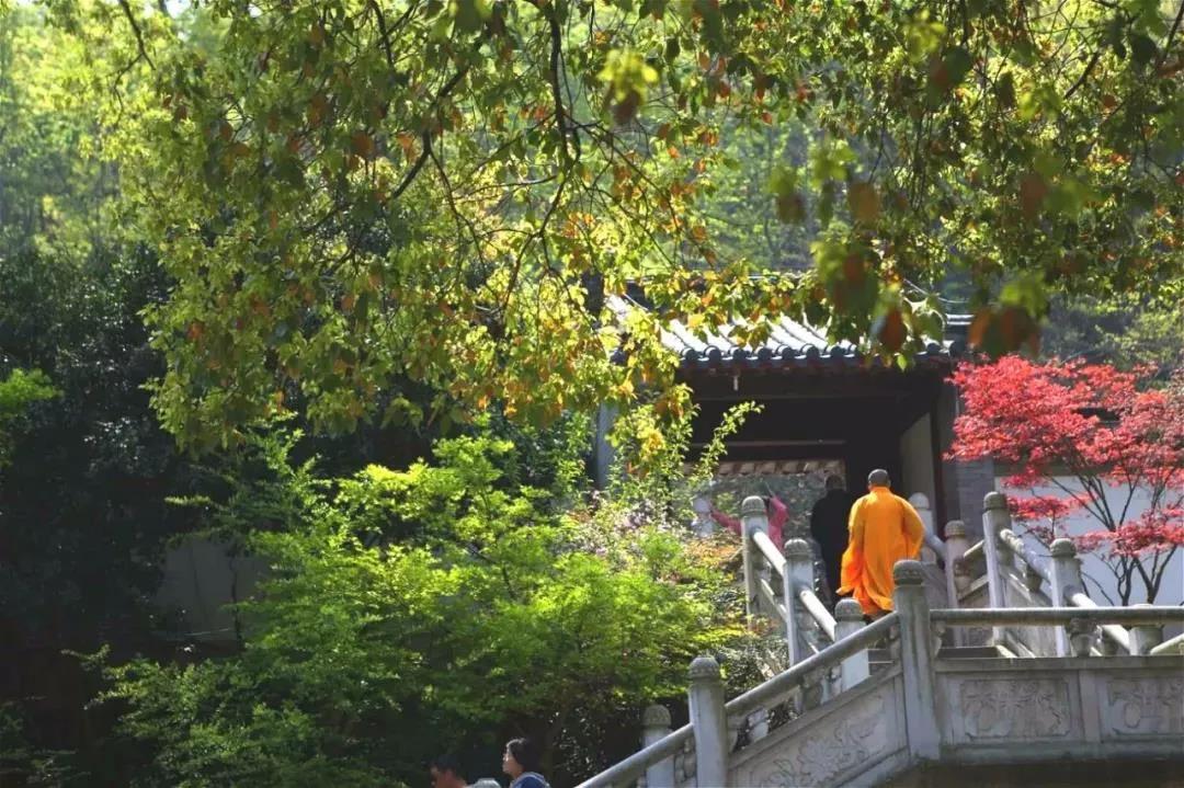 佛门里的一些规矩,居士必知! 佛门里的一些规矩,居士必知!