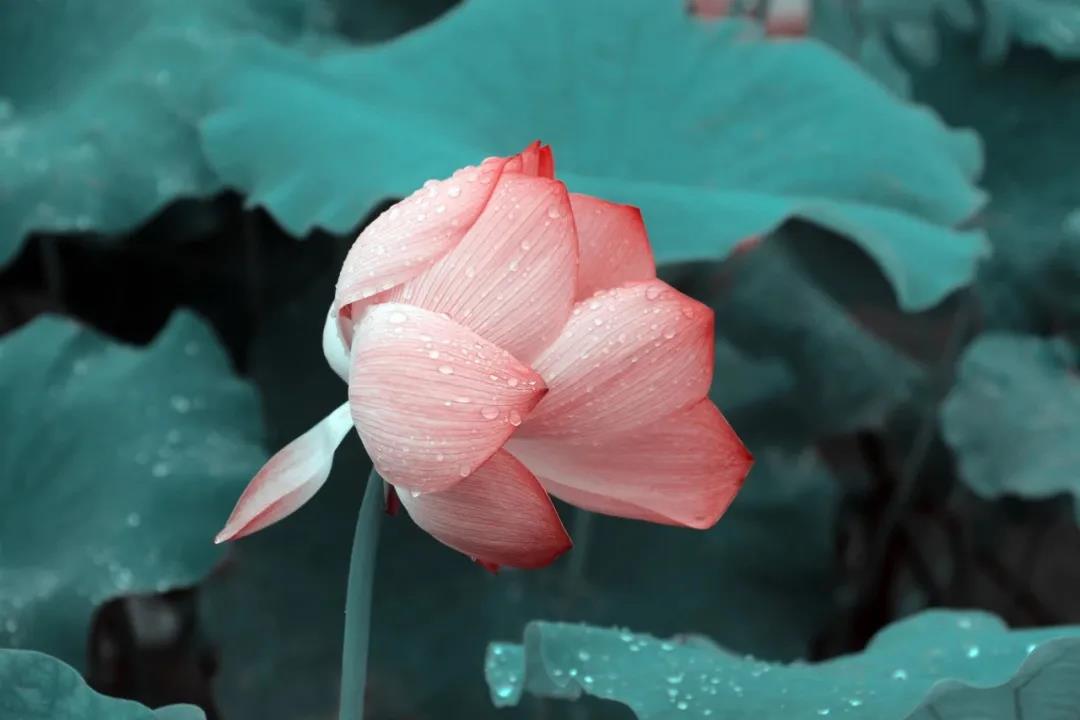 �Ĵ�Կգ����׿յ�ʲô��