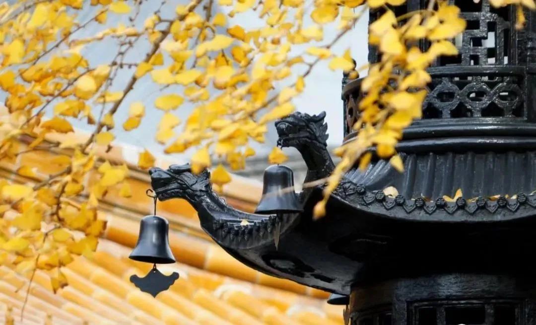 善人、修行人、明白人,佛弟子的三重人格,你具备几重? 善人、修行人、明白人,佛弟子的三重人格,你具备几重?