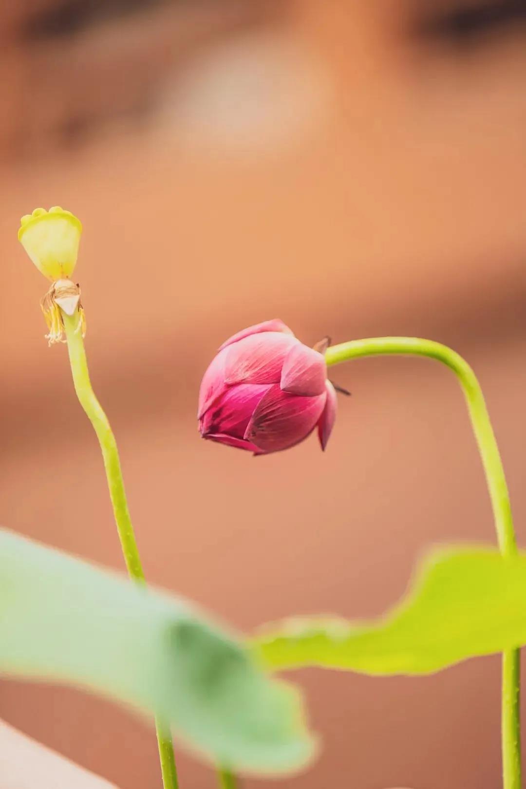 ��������ǰ�Ĺ�ʧ��