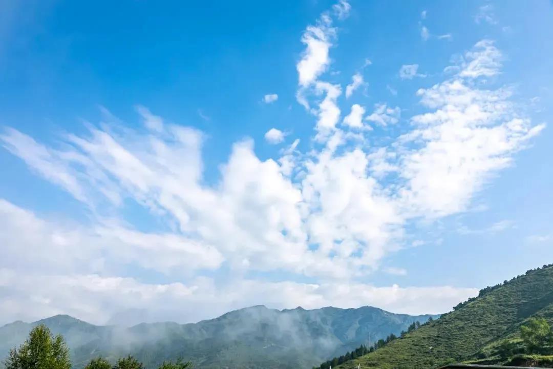 这样做,中断业力,创造更好未来! 这样做,中断业力,创造更好未来!