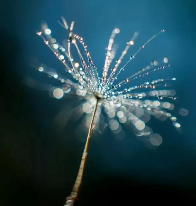 �������ֻ�֮�࣬Ī��������