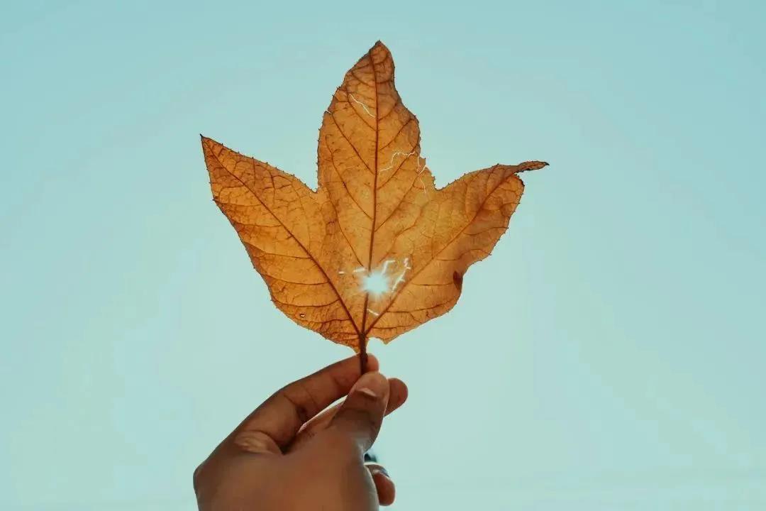 ע�⣡�����𸣱�������֪����Ϊ