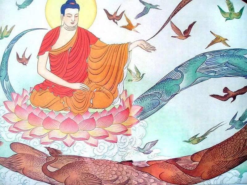 �������������󣿼������羿���ж�����