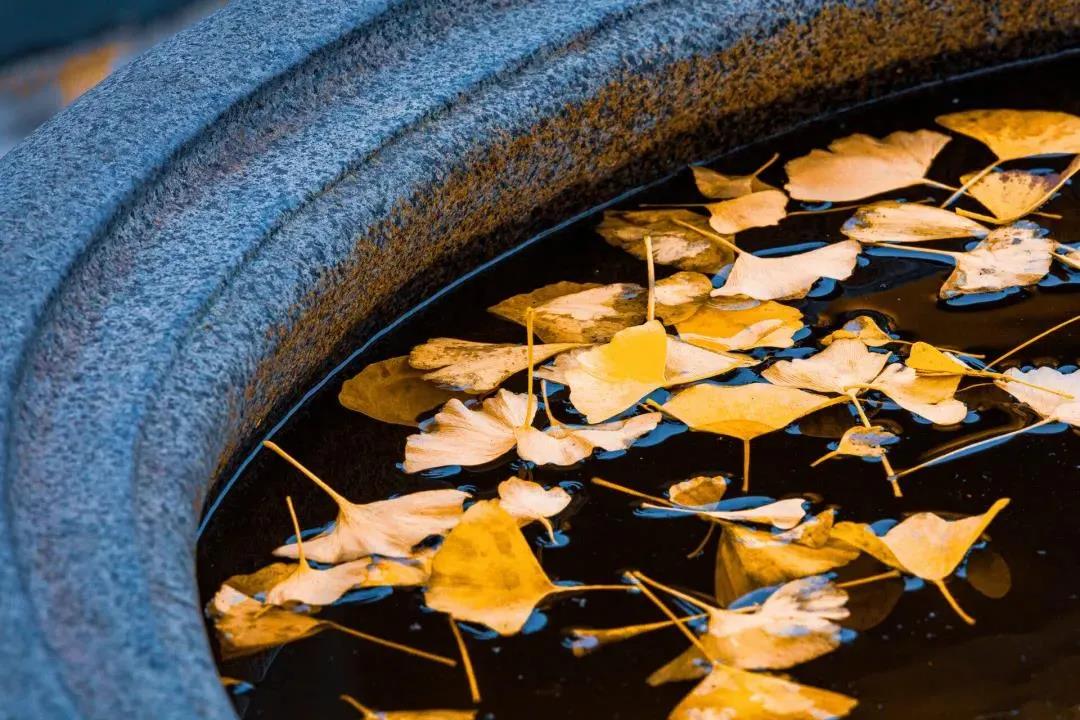 做到12个字_你也能成为一个健康快乐的人 做到12个字_你也能成为一个健康快乐的人