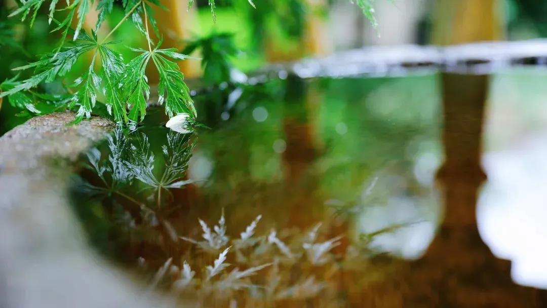 ѧ��ļ�����׼�������������