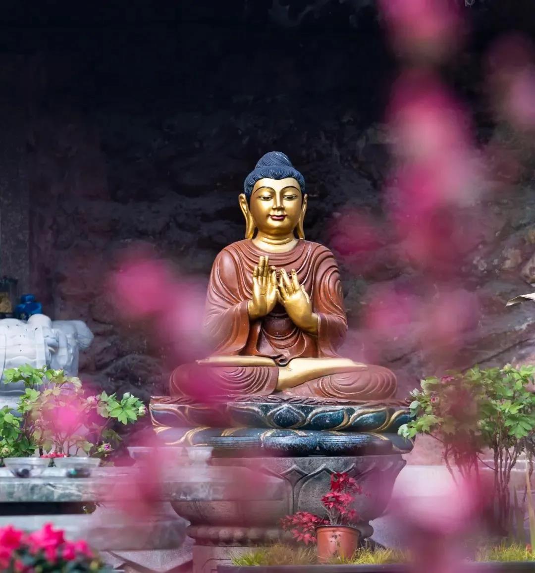 ���������з�������ʵ�������仰