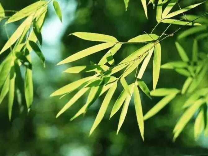 在生活中善于用心就是修行 在生活中善于用心就是修行