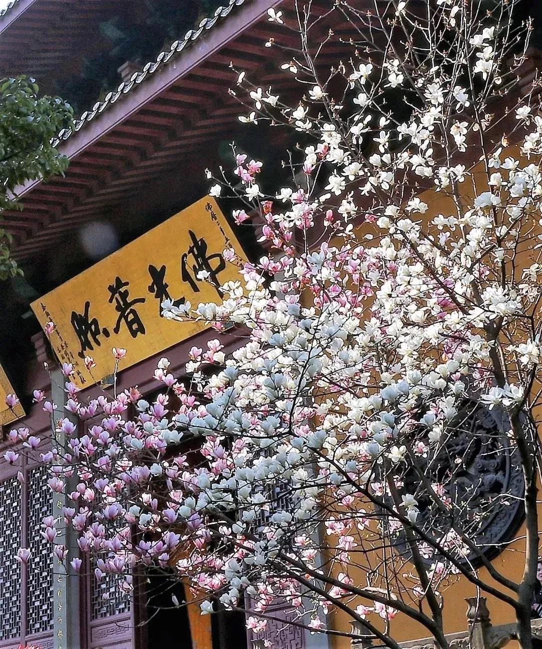 �µ�һ�꣬���Լ�8������