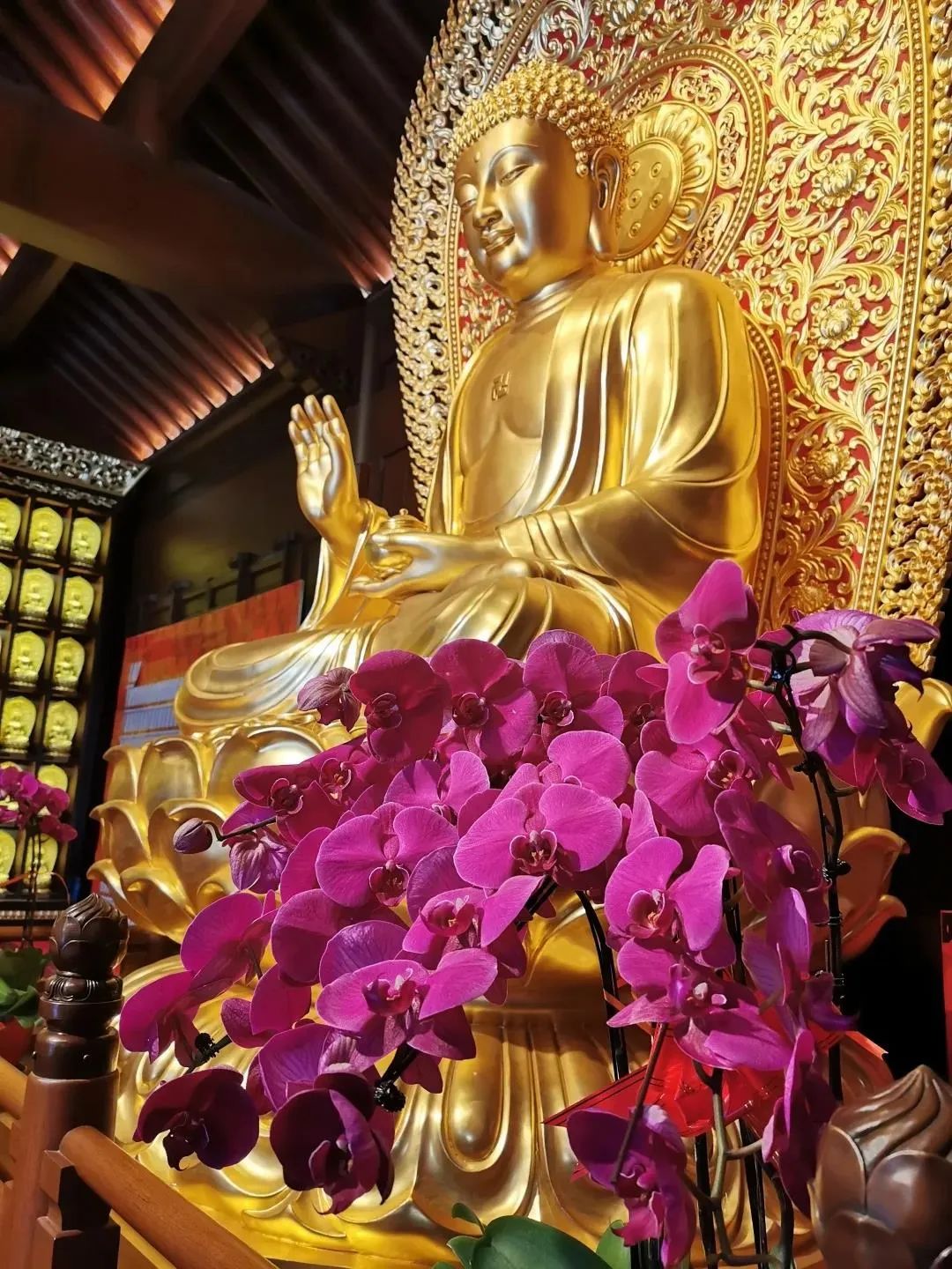 ��������������̷����