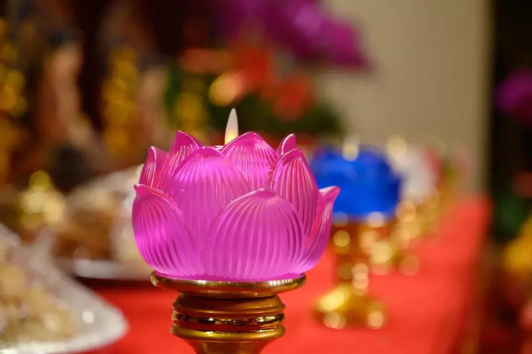 ��Ĳ�ʩ���Ƿ���_����ҵ��_�Ĳ�ʩ��