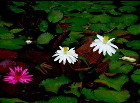 一个妄想的穿越 一个妄想的穿越