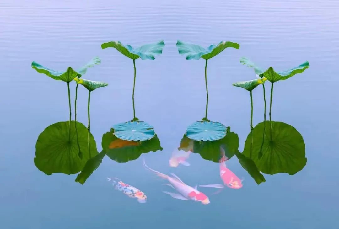 人一定要把人生看得越简单越好 人一定要把人生看得越简单越好