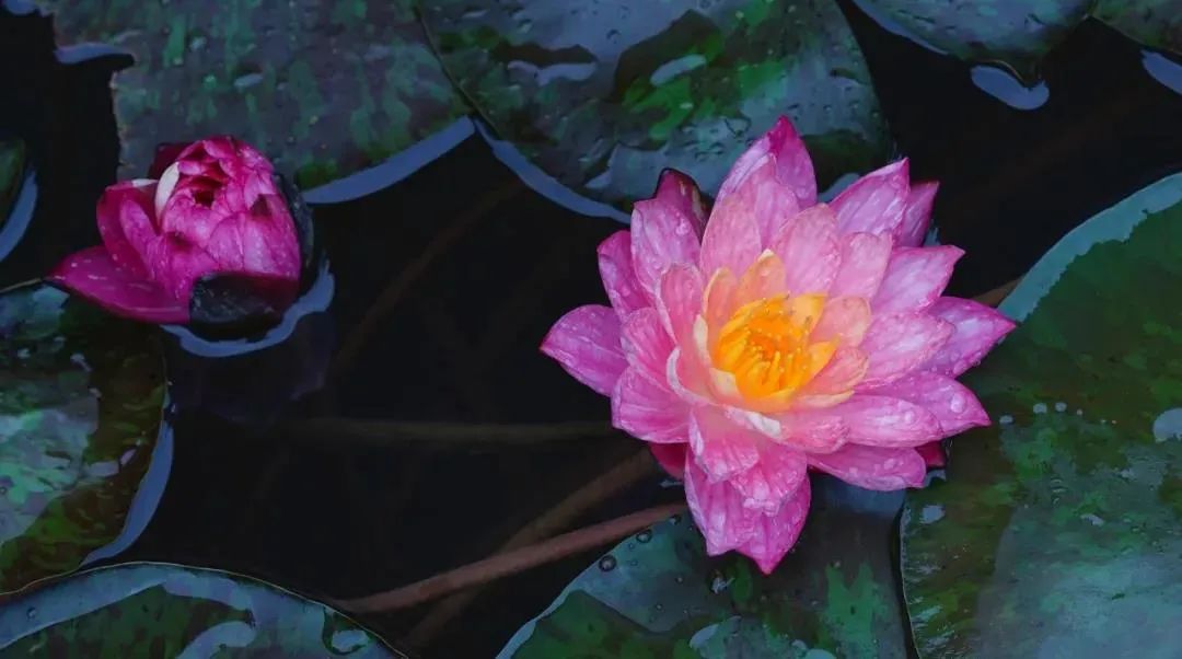 ԭ���㣬����Ϊ��е�����