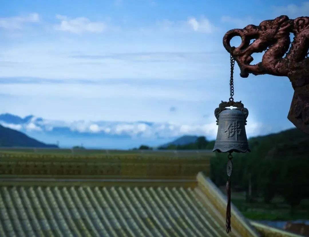 ����·������Ӧ���ѡ����ʦ��