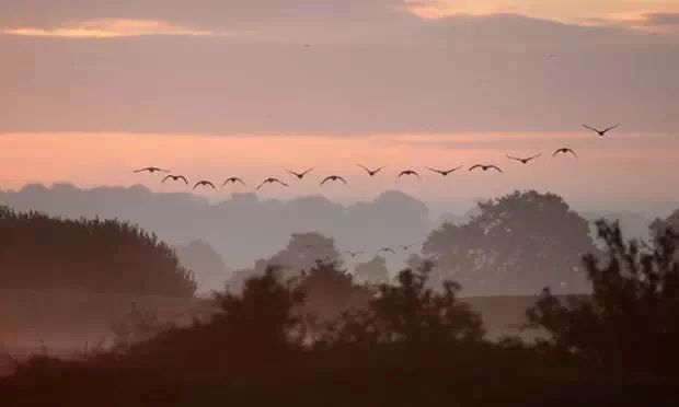 ɹ��ɵ������γɳ�Ϊһ����ɮ�ģ�