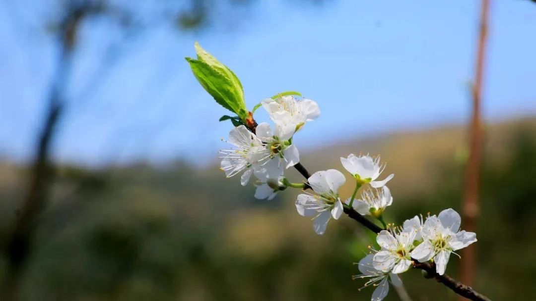 大音希声,大象无形,真正的精进是这样的 大音希声,大象无形,真正的精进是这样的