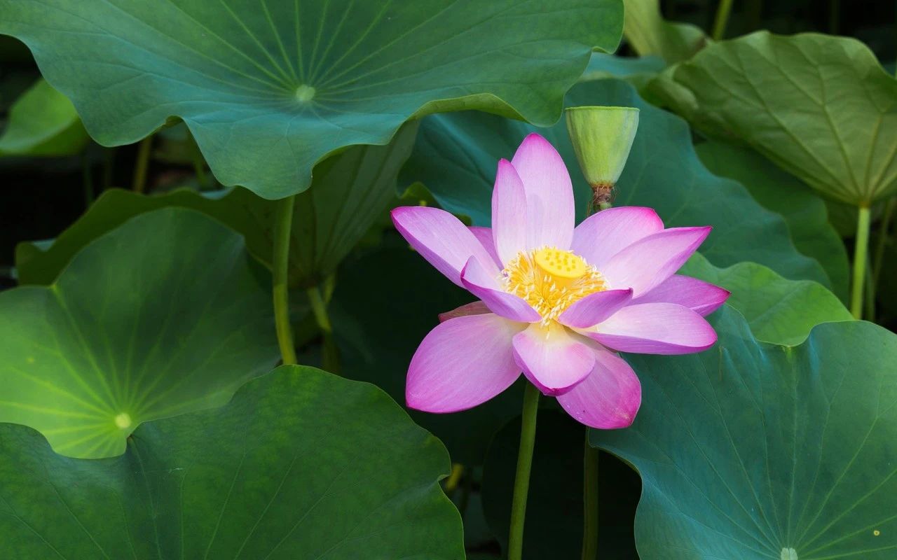 Ҫ�����������ʲô�ñ�Թ���أ�