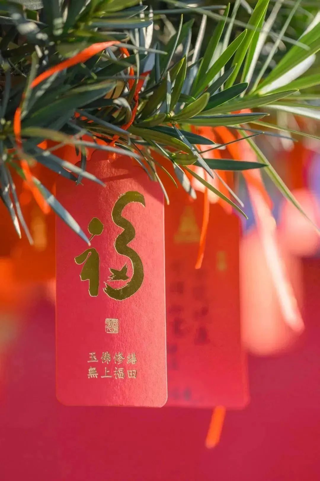 为什么说人应该存福报,胜过存钱? 为什么说人应该存福报,胜过存钱?