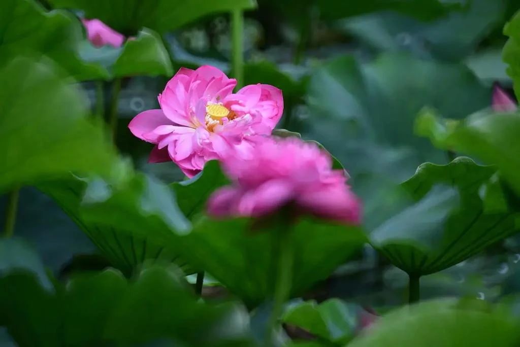 ����������ס����ϼӴ�����8����