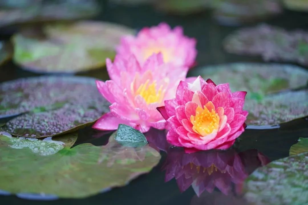 �����𣬾��������ȫ��