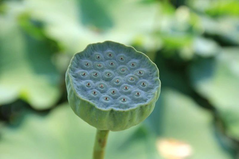 人生的关键就是我们这颗心 人生的关键就是我们这颗心