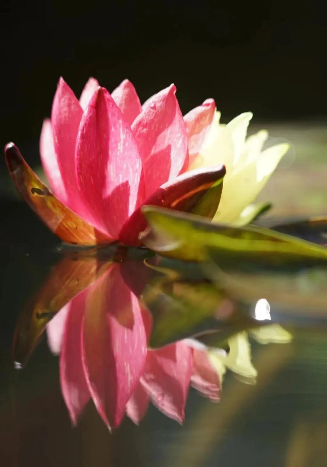 �����������ˣ�ɢ������Ȼ��û����