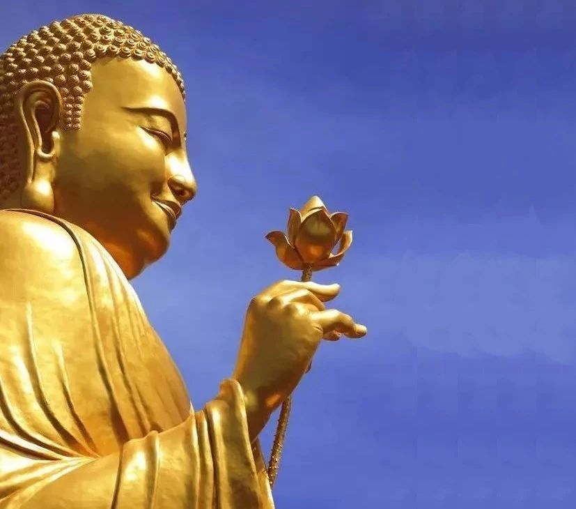 �����������֪���Ķ�������