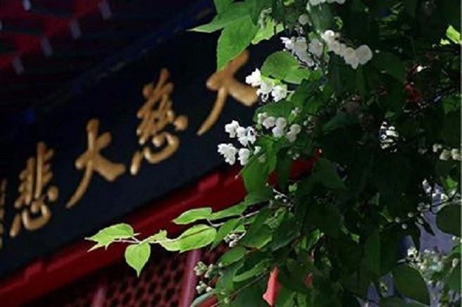 做到境随心转,你也可以是圣贤! 做到境随心转,你也可以是圣贤!