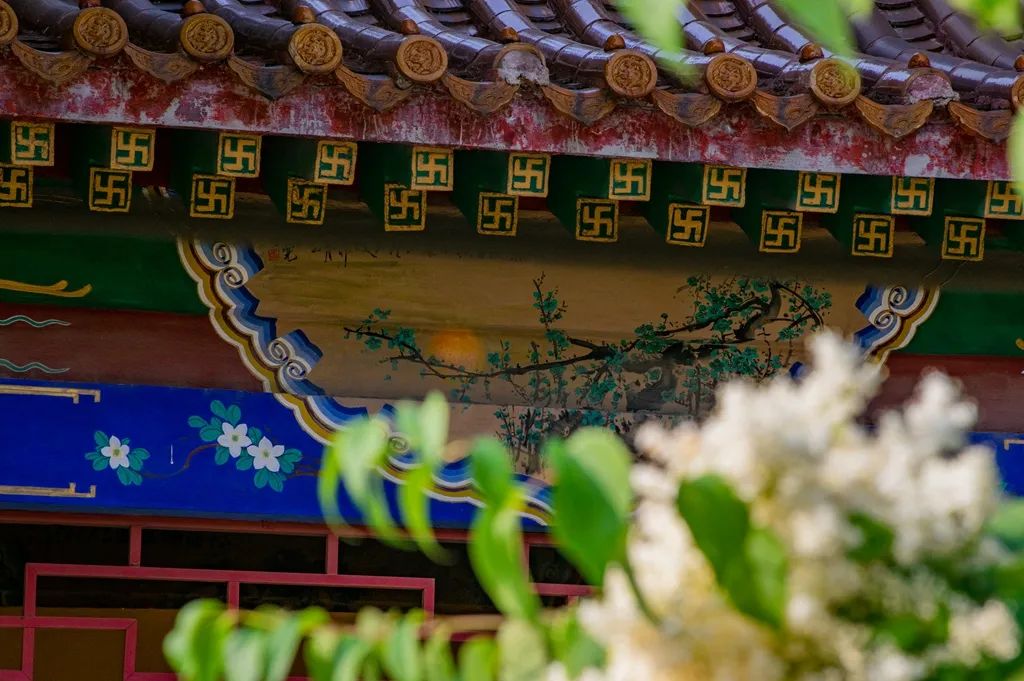 Ī��Ϊ�񲻱���ֻ��ʱ��δ��