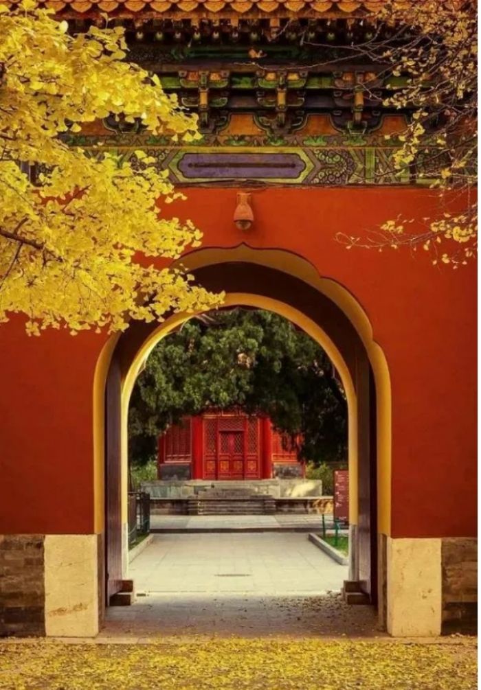 ���Ž����ļ��ԣ��������