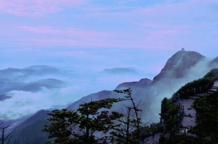 ���������Ĺ�ʧ����Щ��