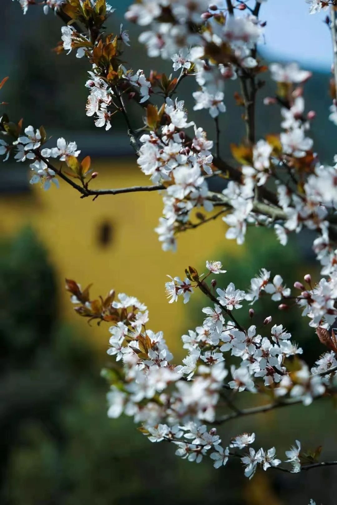 ���������Ĺ�ʧ����Щ��