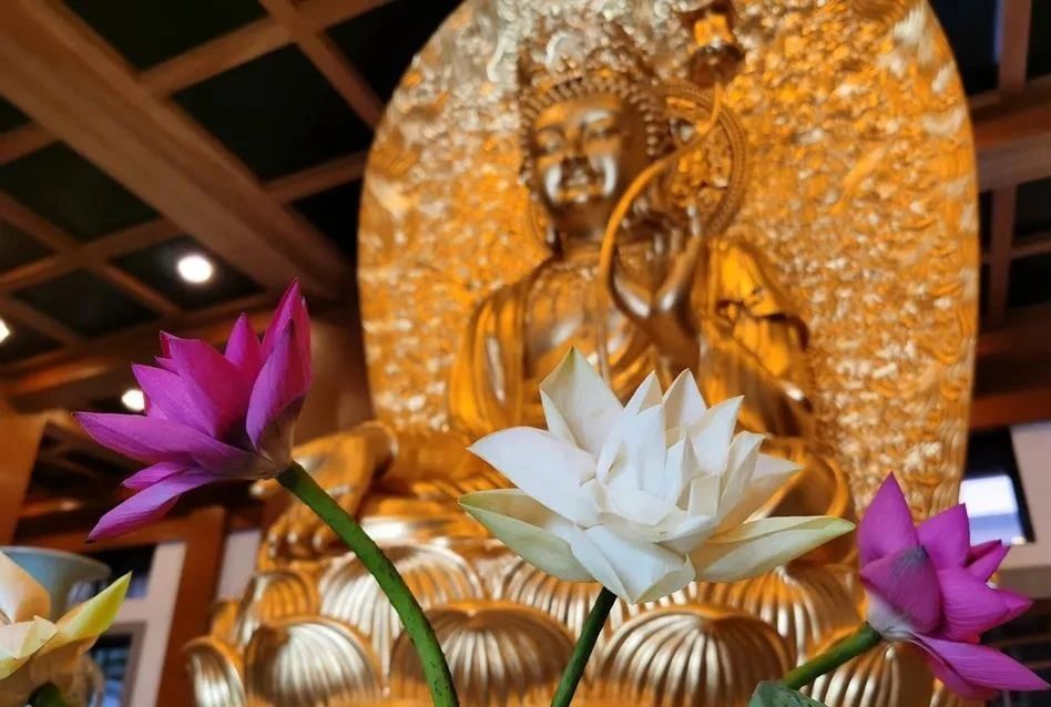 ���������������㣬���������������