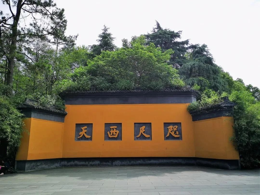 念佛贵在调心,不在念多,念少 念佛贵在调心,不在念多,念少