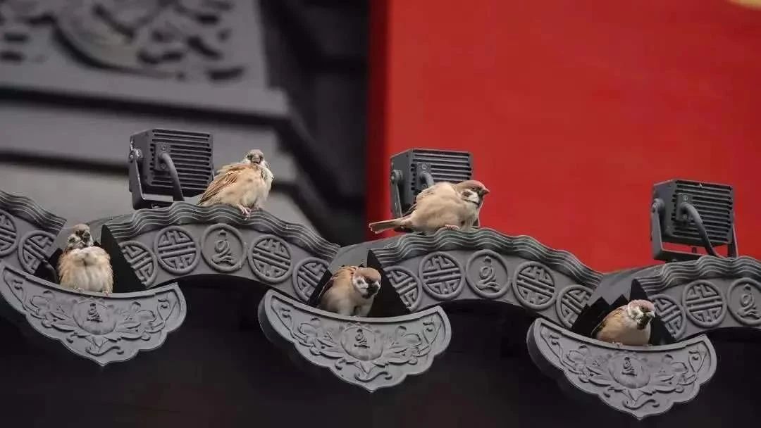 都说“佛度有缘人”,你是有缘之人吗? 都说“佛度有缘人”,你是有缘之人吗?
