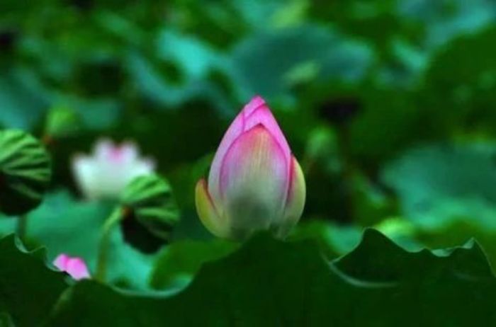 �Ͽ����ɣ�����·�϶��Ƕ��пͣ�