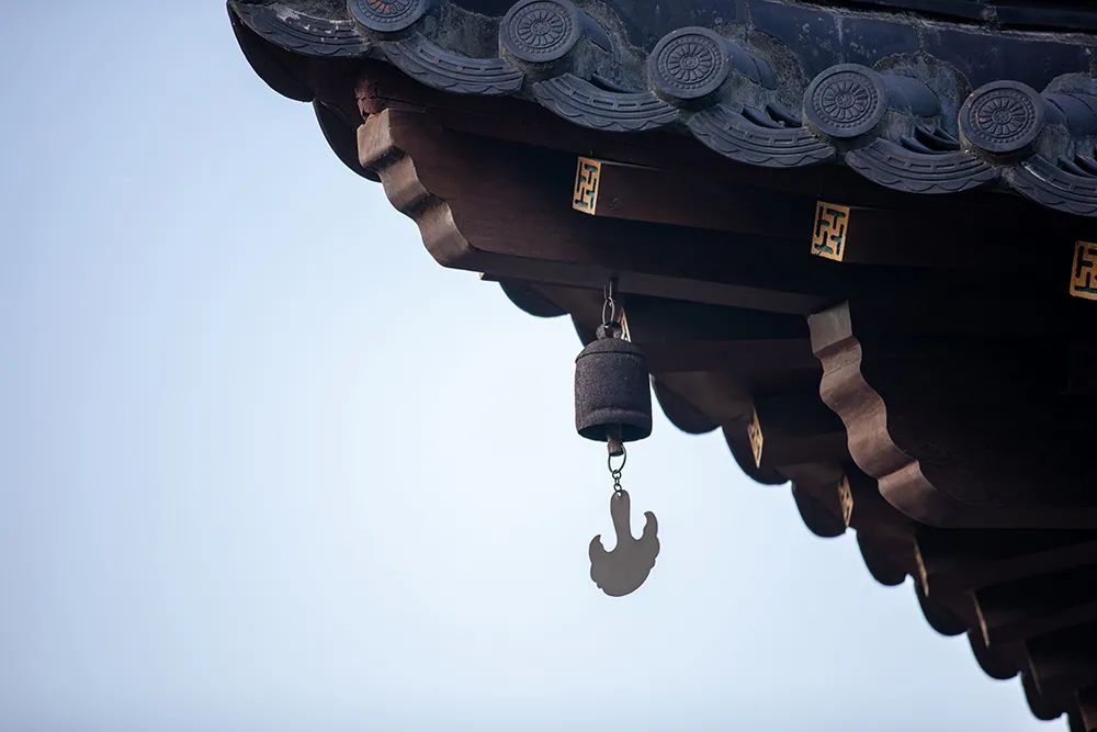 如何避免说四众过? 如何避免说四众过?