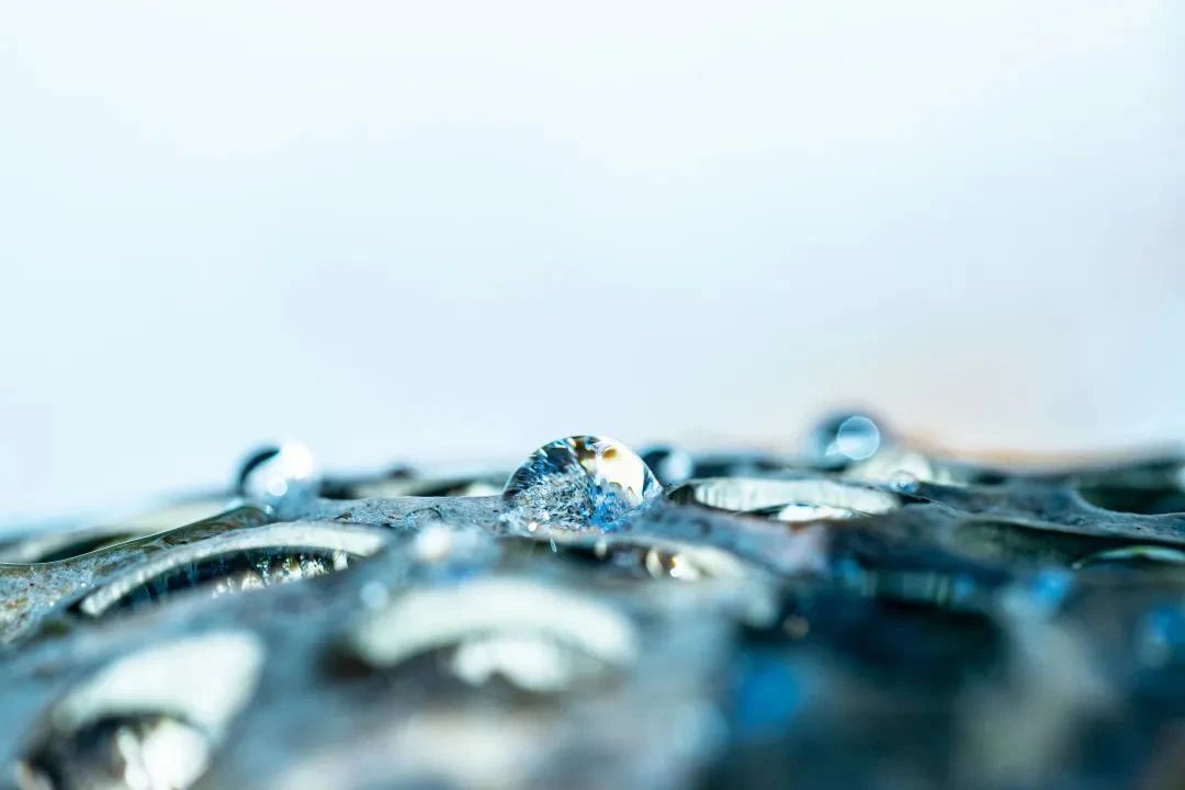 不离佛号,老实念佛 不离佛号,老实念佛